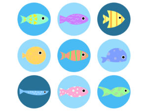 熱帯魚を長生きさせる本当に重要な４つのポイントを解説 ヤリキリ生活